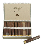 Davidoff Puro D'oro Magnificos