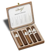 Davidoff Robusto Collection